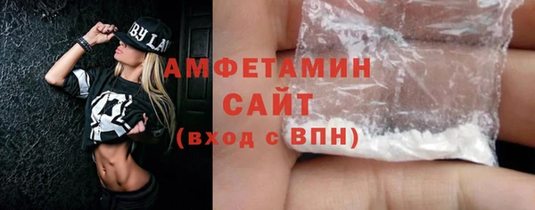 индика Вязьма