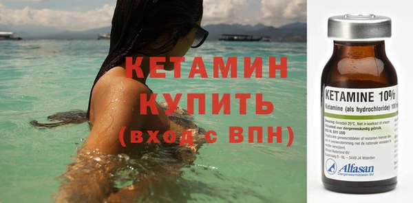 сатива Вяземский