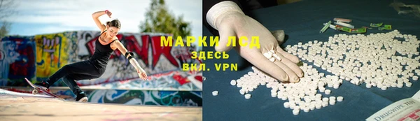 индика Вязьма