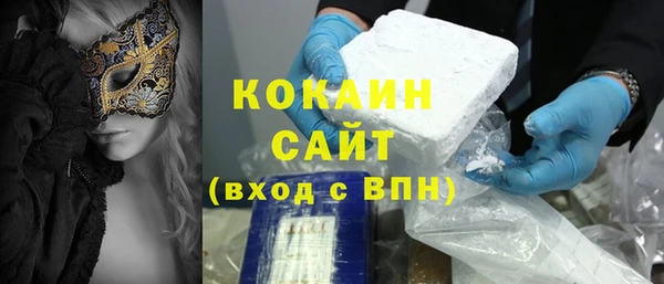 индика Вязьма