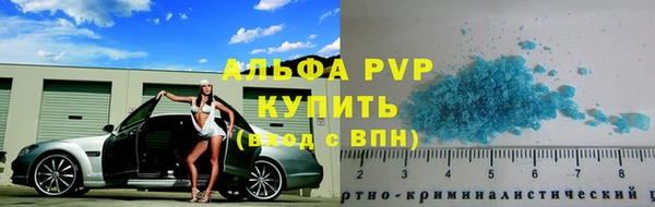 сатива Вяземский
