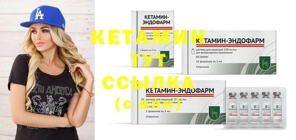 индика Вязьма