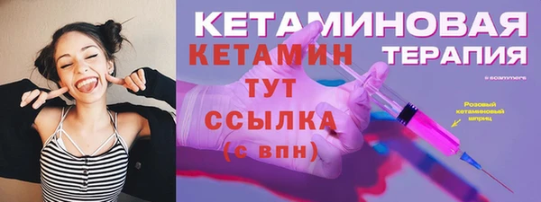 сатива Вяземский