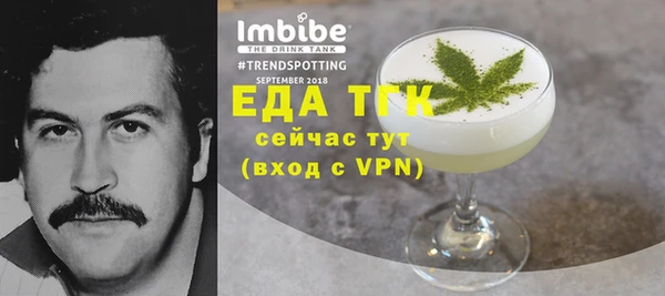 индика Вязьма