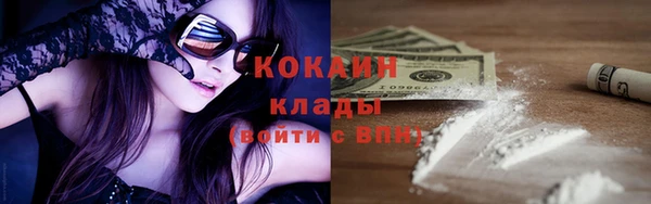 сатива Вяземский