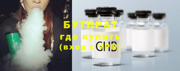 индика Вязьма