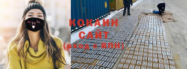 сатива Вяземский