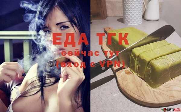 индика Вязьма
