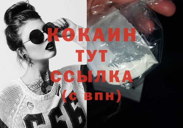 индика Вязьма
