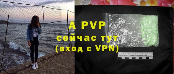 индика Вязьма