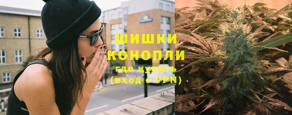 индика Вязьма