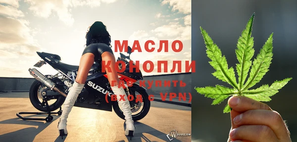 сатива Вяземский
