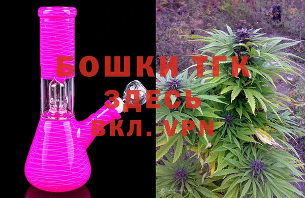 сатива Вяземский