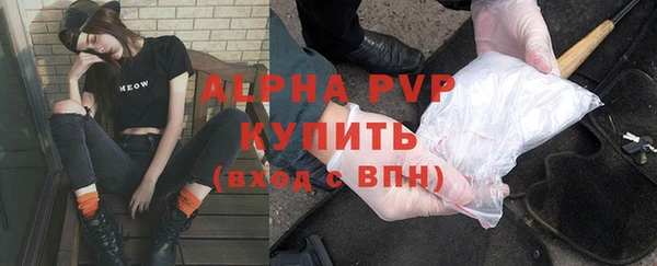 индика Вязьма